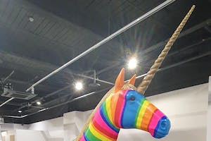 A unicorn which has been painted in bright colours